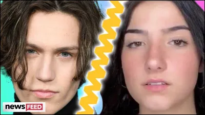 Charli D'Amelio aime-t-elle Addison Rae ?