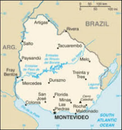 Qui fut &eacute;lu meilleur joueur de la comp&eacute;tition ?