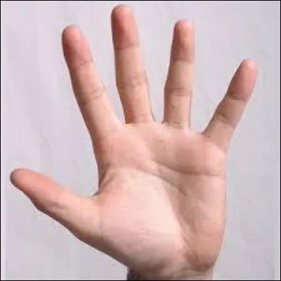 Thomas M&uuml;ller, Diego Forl&aacute;n, David Villa et Wesley Sneijder termin&egrave;rent co-meilleurs buteurs de cette Coupe du monde. Combien marqu&egrave;rent-ils de buts ?