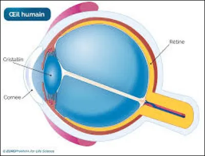 Qu'est-ce que l'hypermétropie ?
