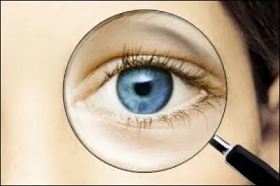 Où se situe la cornée ?