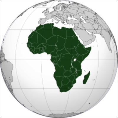 Quel mammifère dAfrique appartient à la famille des suidés ?