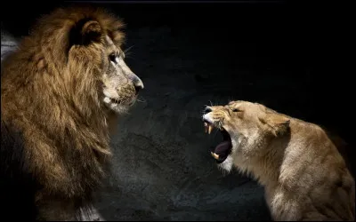 Bon, on m'attend pour le repas, donc je vais y aller, sinon je vais me faire ... les ... !