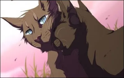 Plume de Jais n'aime pas Belle-de-Nuit.