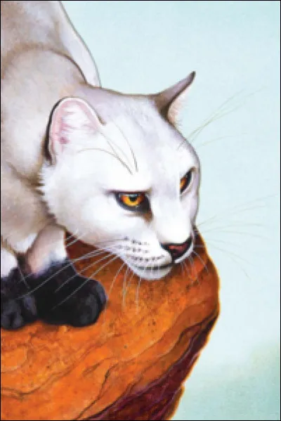 Étoile de Jais, avant de devenir un guerrier, était un chat solitaire.