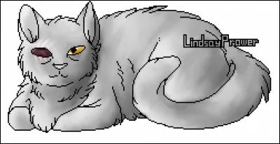 Un-Œil était encore vivante quand Étoile de Feu a rebaptisé Sans Visage "Coeur Blanc".