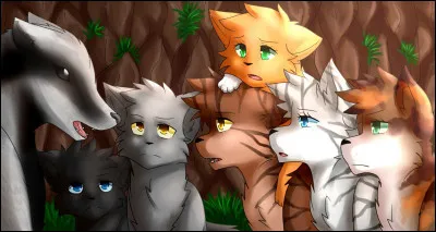 Minuit est une femelle dans la version anglaise.