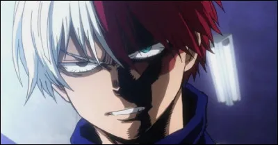 Qui est-ce que Shouto déteste ?