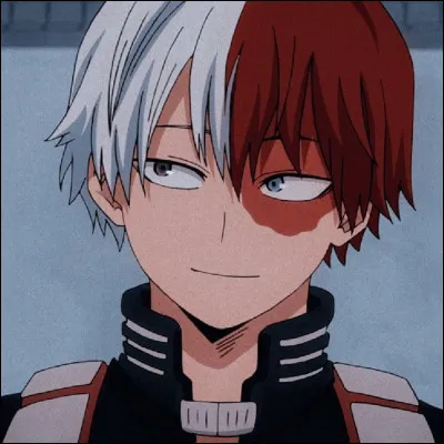 Quel est le nom de famille de Shouto ?