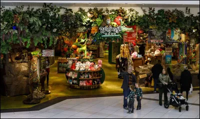 Combien sont-elles à écrire les tomes ?