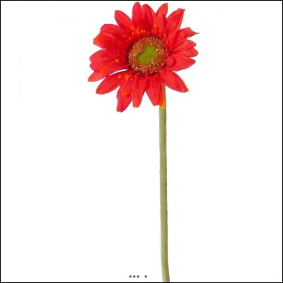 Comment s'appellent les petits de Millie ?