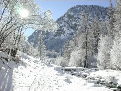 On rigole, on rigole, mais suite à cette aventure je suis tombé sur un autre promeneur que je connaissais de vue, il me demanda : Ca va, vous vous sentez bien, vous êtes ...comme ... ?