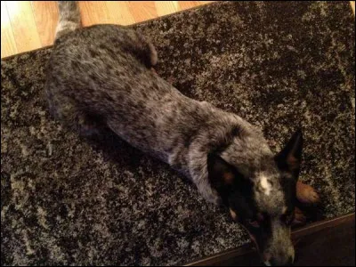 These minerals are mined in Asturias.
I use my ---- to think about a problem.


(Ces minéraux sont minés en Asturies.)
(J'utilise mon intellect pour penser à un problème.)