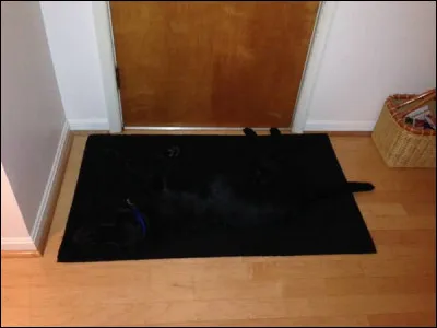 Merry Christmas !
Can I ---- you ?


(Joyeux Noël !)
(Puis-je t'épouser ?)