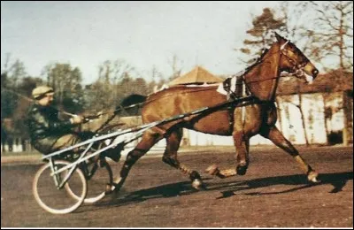 Quel est le nom de cette jument super-crack du trot français qui acquis une notoriété et une popularité incomparables en raison de ses victoires et de ses records, surnommée "la Madone des sleepings" ?