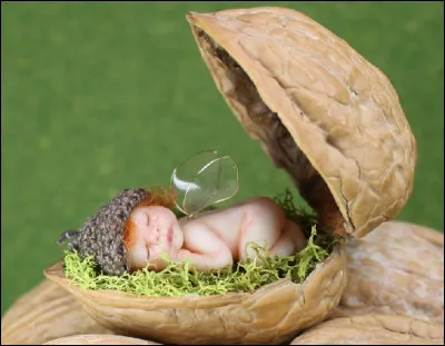 Quelle héroine de conte reçut pour berceau une coque de noix ?