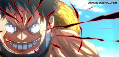 Qui ne maîtrise pas le Haki des Rois ?