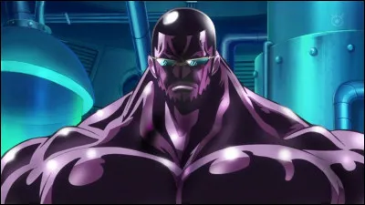 Quel est le personnage qui possède le Haki de l'armement ?