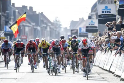 Ville belge de 30 000 habitants, située dans la province de Flandre-Occidentale, à la frontière française, connue par sa classique cycliste :