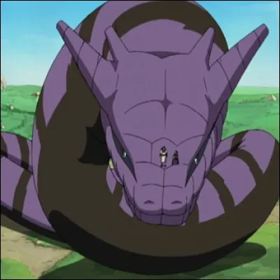 Tu préfères invoquer :