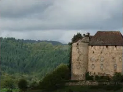 Je vous propose de partir à la découverte de château du Puy-Launay, à Linac. Village occitan de l'aire urbaine de Figeac, il se situe dans le département ...