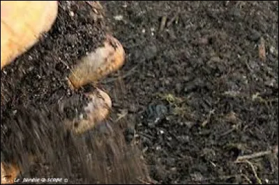 Comment améliorer un sol tourbeux ?