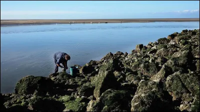Le 2e jour, à son réveil, que découvre-t-il posés sur les rochers ?