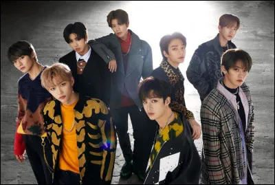 En quelle année ont débuté les Stray Kids ?