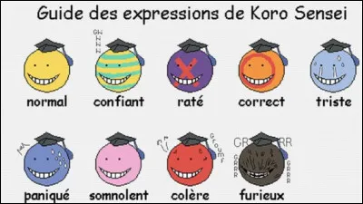 Quelle est ton attitude de tous les jours ?