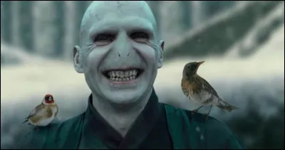 Voldemort s'appelle réellement :