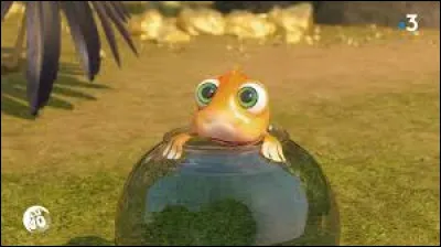 Et enfin, qui est-ce ?