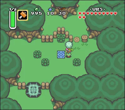 Que se passe-t-il si tu entres dans le Dark World sans la Perle de Lune ?