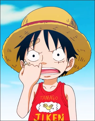 Combien d'années après Ace Luffy prit-il la mer ?