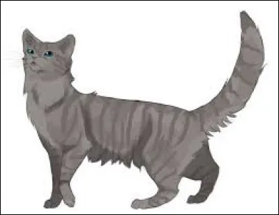 Qui est Cur Cendré pour Pelage de Lion ?