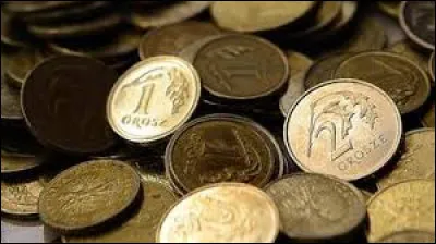 Quel pays utilise le zloty ?