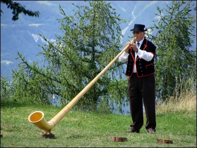 Dans quel pays trouve-t-on plus particulièrement le cor des Alpes ?