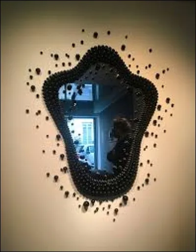 Qu'a perdu Sunny dans le désert dans le tome 5 ?