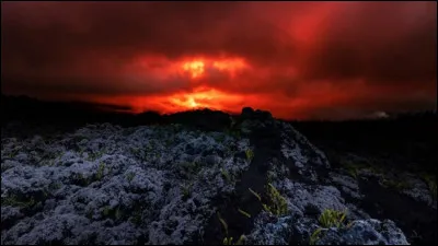 Est-ce une impression 3D ou une photo ?