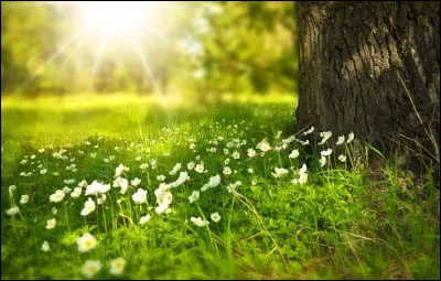 Est-ce une impression 3D ou une photo ?