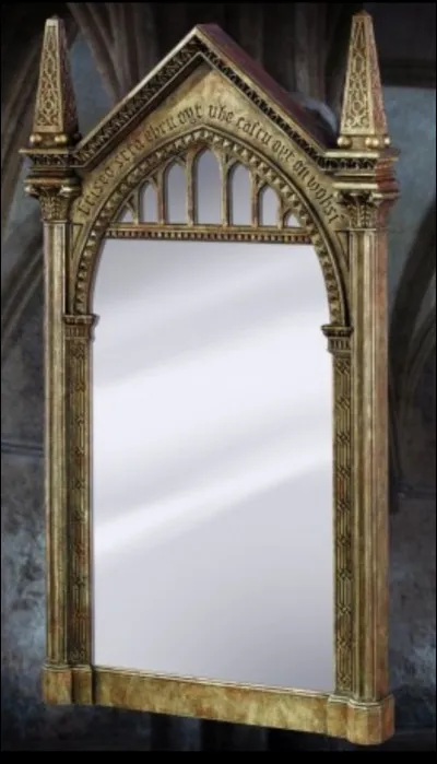 Comment Ron se voit-il dans le miroir du Rised ?