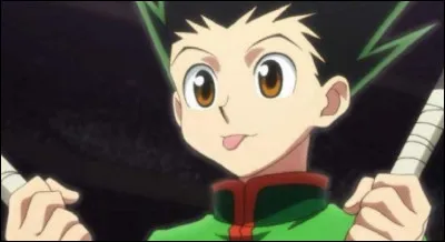 Quel est le type de "Nen" de Gon ?