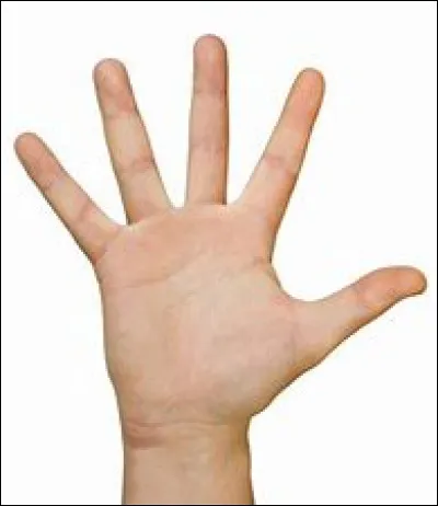 À moins de manger avec les doigts, on mange avec.