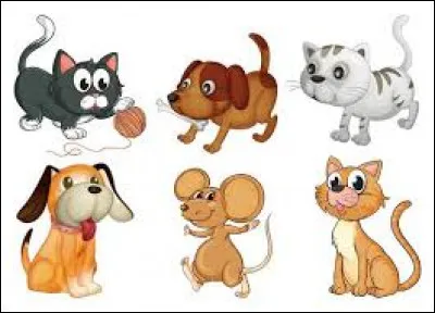 Surnommé Big Jack, quel animal à quatre pattes détient le record de taille de son espèce, soit 6 pieds, 3 pouces (190,5 cm)