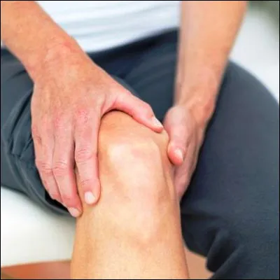 Quels ligaments maintiennent le genou en avant et en arri&egrave;re ?