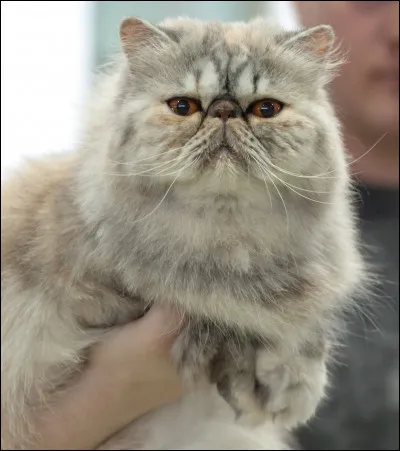 Ton prénom préféré est :