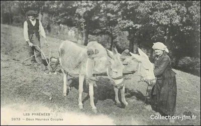 De toute façon mon bon maître, je n'avais pas ... au ..., ces manants m'auraient coupé le cou sans coup férir, il faut se méfier de ces faux mendiants et ne pas crier haro sur le ... !