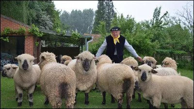 En fin de compte, il valait mieux me ... à ..., mais revenons à nos ... !