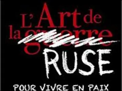 Enfin arrivé à destination, je repérai de suite un boutiquier devant lequel se pressaient quelques badauds, je vis également qu'il avait en sa possession quelques sachets de fleur de cannelle dont demoiselle Hortense raffole, je me mis en devoir de discuter le prix, mais le bougre était ...comme un ... et ne voulait rien savoir. Finalement je fis semblant de partir, piège qui me réussit naguère !