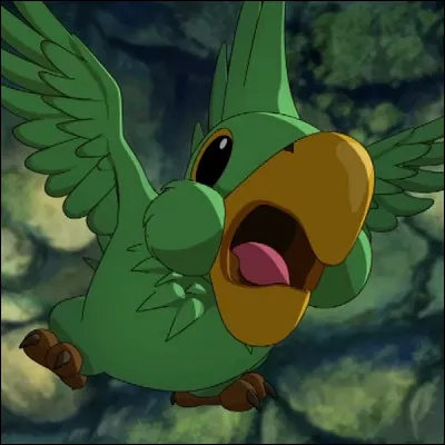 Le perroquet de Tao s'appelle...