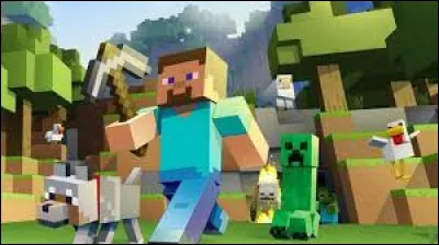 Quel est ce jeu vidéo ?